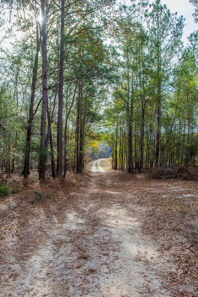 More Photos Of 409 Windward Ave, Orangeburg Land For Sale