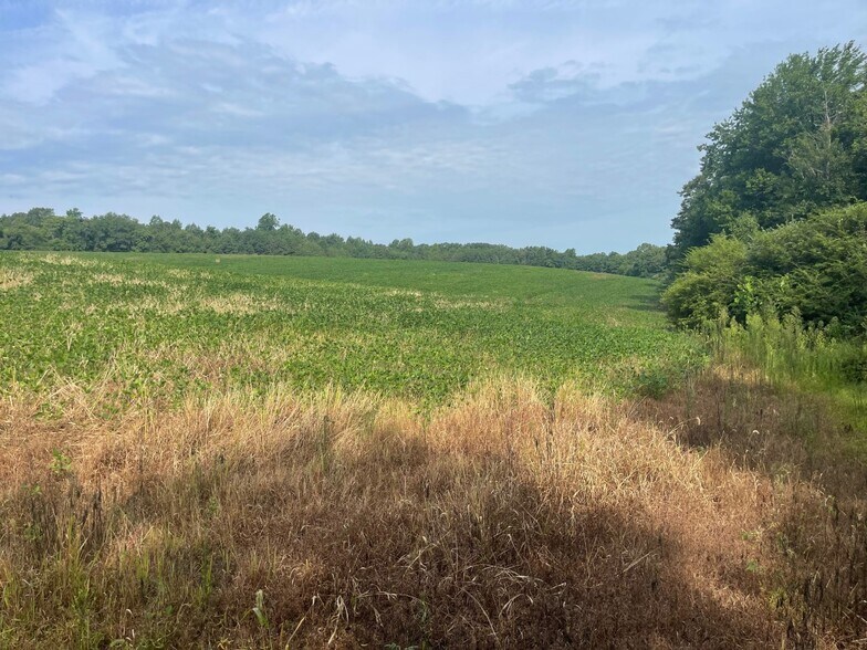 More Photos Of Rt 460 Hwy, Evergreen Land For Sale