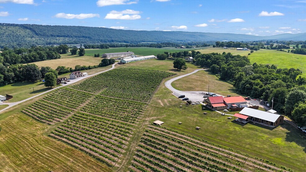 More Photos Of 3 Orchard Rd, Liverpool Winery Vineyard For Sale