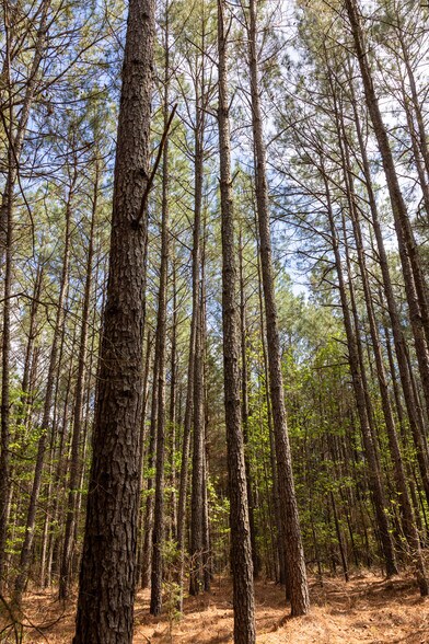 More Photos Of US 63, Junction City Land For Sale