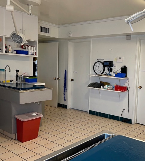 More Photos Of 6162 Magnolia Ave, Riverside Veterinarian Kennel For Sale