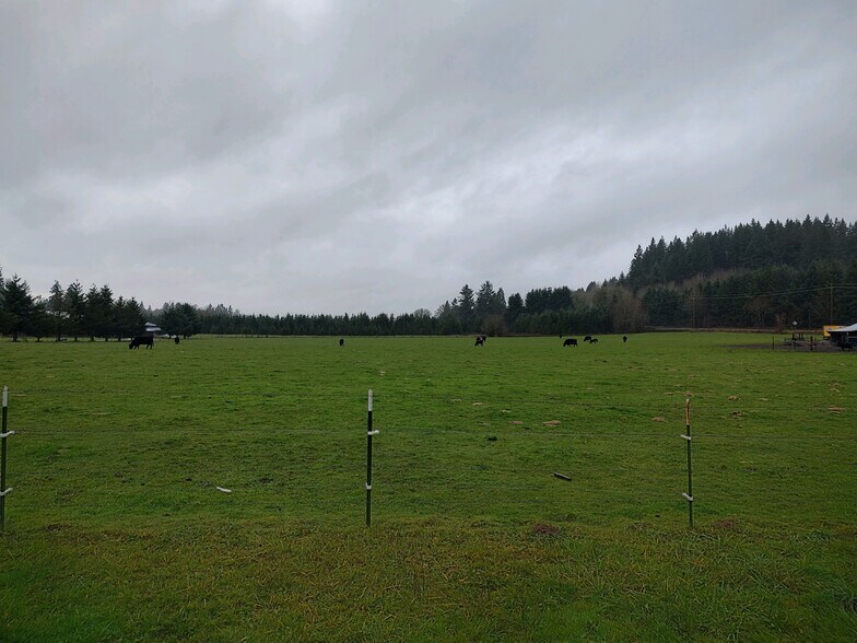 More Photos Of 12108 NE 182nd Ave, Brush Prairie Land For Sale