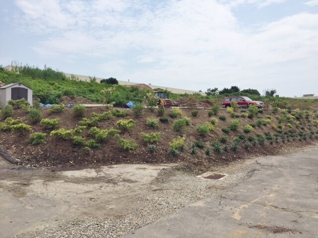 More Photos Of 273 Indian River Rd, Orange Warehouse For Lease