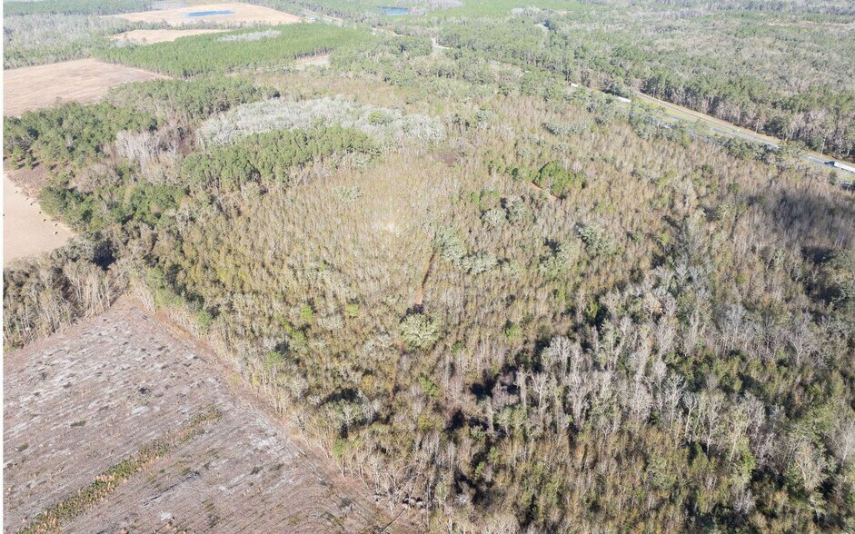 More Photos Of TBD CR 137 & I-10, Wellborn Land For Sale