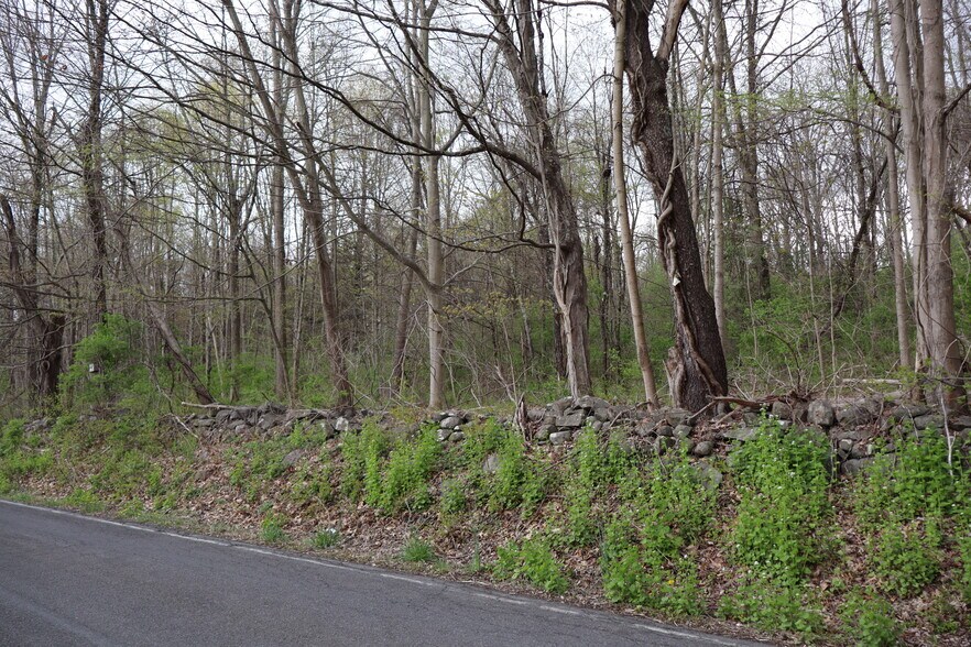 More Photos Of 330 Plutarch Rd, Highland Land For Sale