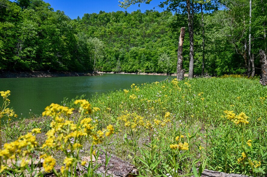 More Photos Of 0 Crestwood Road, Speedwell Land For Sale