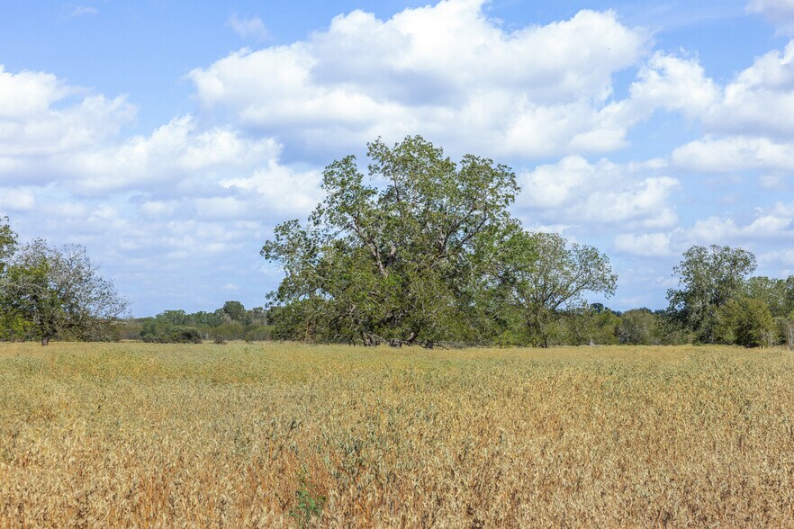 More Photos Of 11915 FM 86, Lockhart Land For Sale