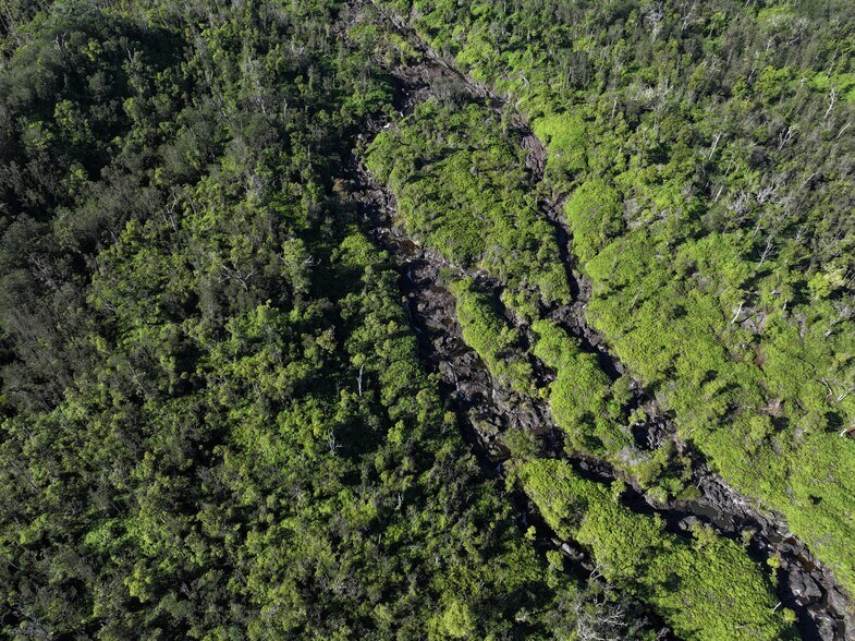 More Photos Of 29-773 Chin Chuck Rd, Hakalau Land For Sale