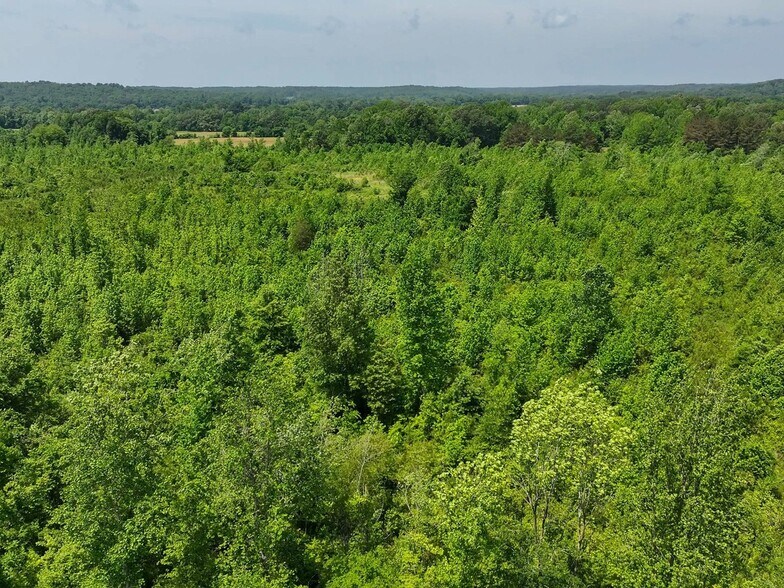 More Photos Of 0 State Route 22a, Enville Land For Sale