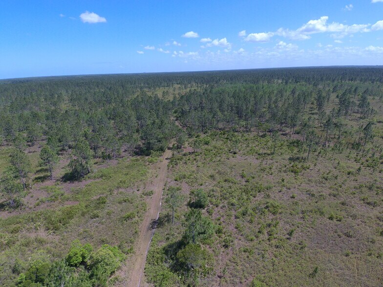 More Photos Of 0 Favoretta (County 200) Rd, Bunnell Land For Sale