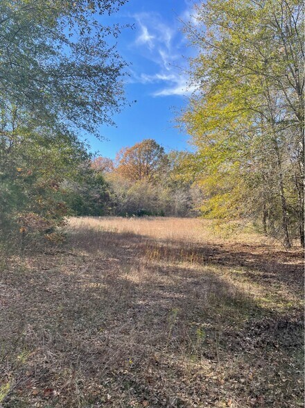 More Photos Of 1155 VZ County 1415 rd, Van Land For Sale