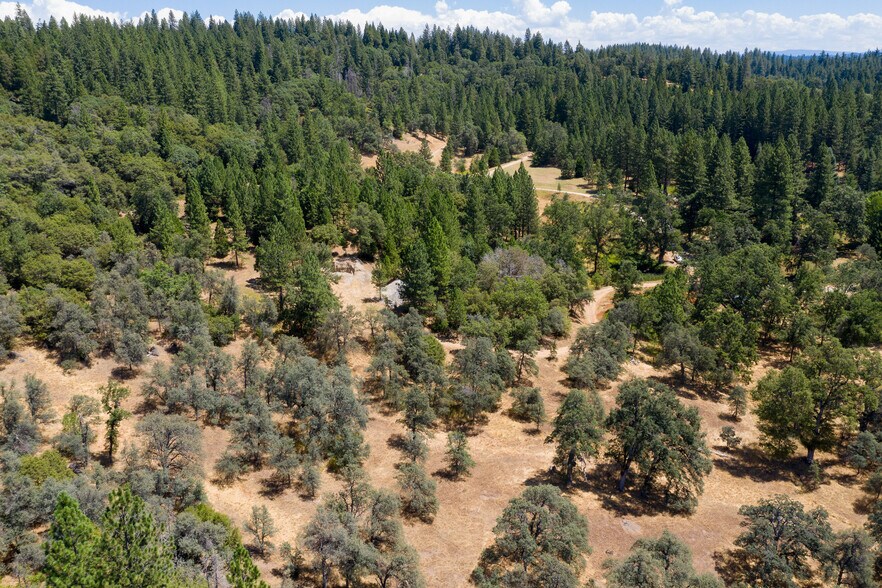 More Photos Of 25755 State Highway 88, Pioneer Land For Sale