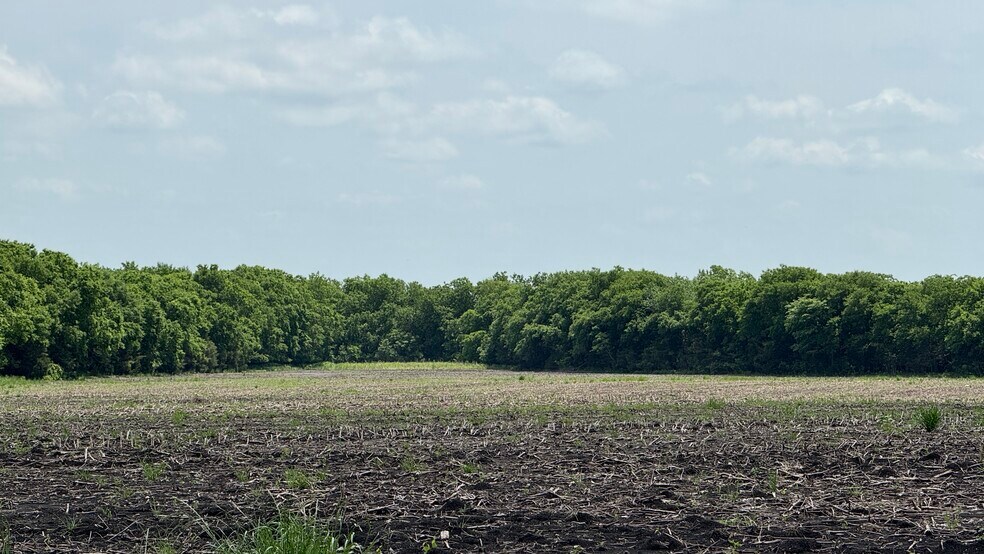 More Photos Of 9024 FM 64, Pecan Gap Land For Sale