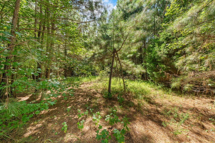 More Photos Of 4110 Wilson Town rd, Oxford Land For Sale