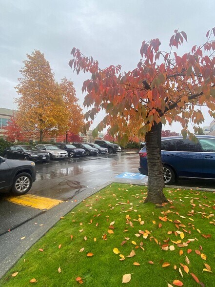 More Photos Of 12992 76th Ave, Surrey Office For Lease