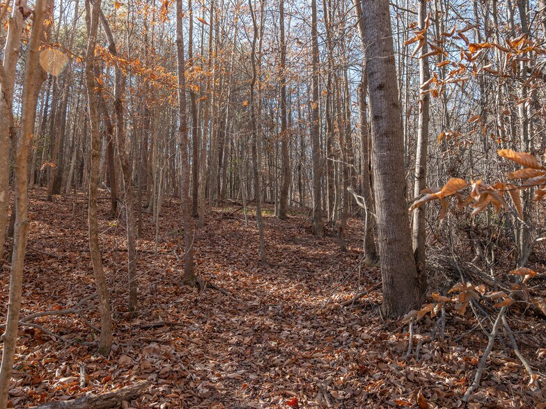 More Photos Of 00 Pittman Rd, Landrum Land For Sale