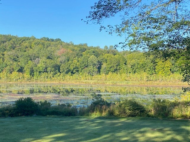 More Photos Of 152 Lily Lake Rd, Highland Land For Sale