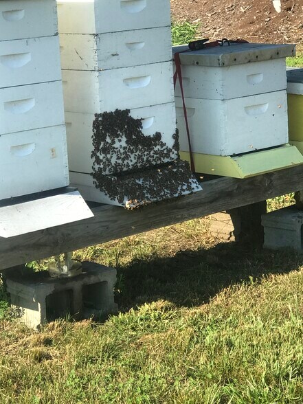 More Photos Of 552 Lick Creek Rd, Leasburg Land For Sale