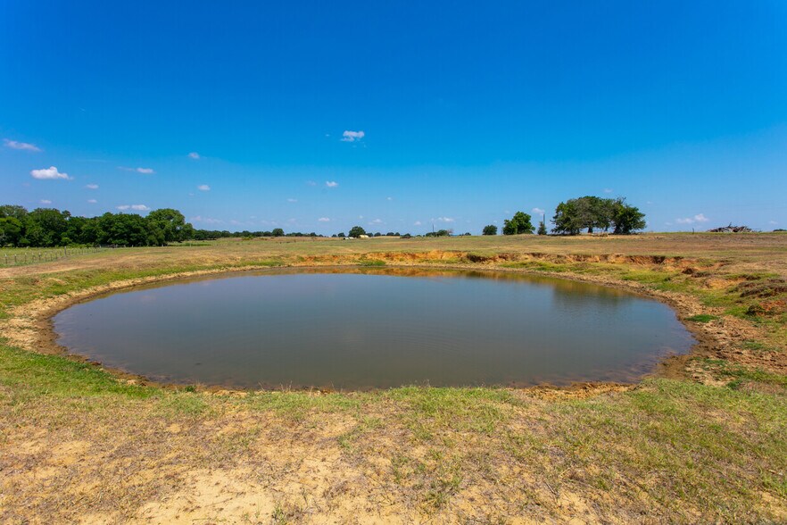 More Photos Of 2565 County Road 442, Thorndale Land For Sale