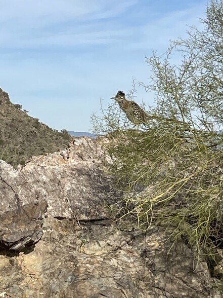 More Photos Of E Glen Drive Road, Paradise Valley Land For Sale