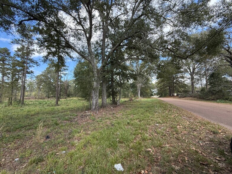 More Photos Of LOT 5 HWY 33 hwy, Centreville Land For Sale