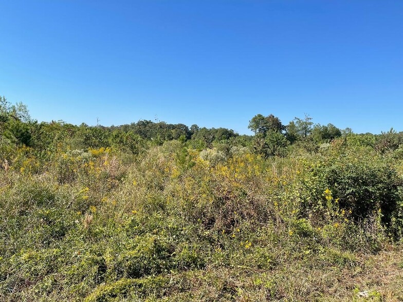 More Photos Of 18556 US Highway 59, New Caney Land For Sale