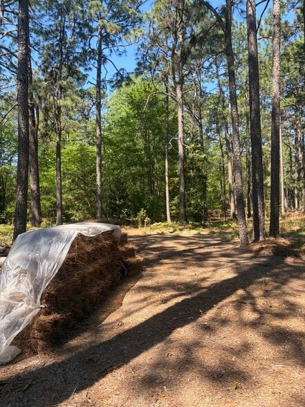 More Photos Of 5324 US 1 Hwy, Vass Land For Sale