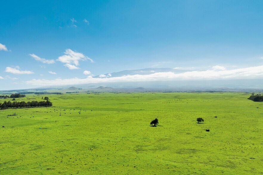 More Photos Of 64-1015 Mamalahoa Hwy, Kamuela Warehouse For Sale