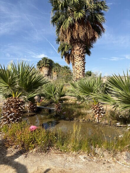 More Photos Of 160 +/- Acres Juanita Springs Ranch, Bunkerville Land For Sale