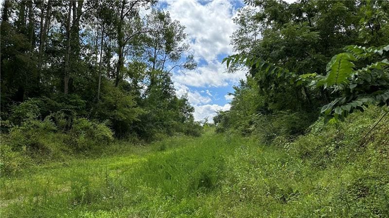 More Photos Of Lot 1 Low Hill Rd, Brownsville Land For Sale