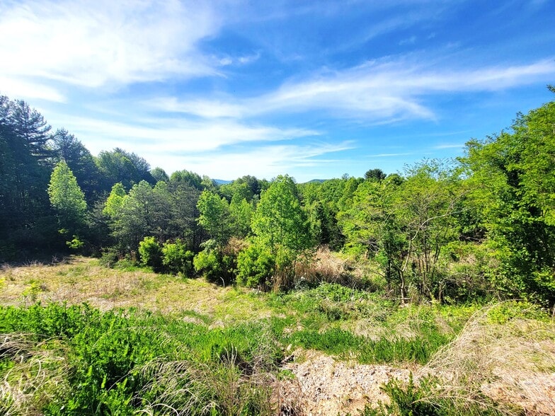 More Photos Of 9999 Airport Rd, Arden Land For Sale