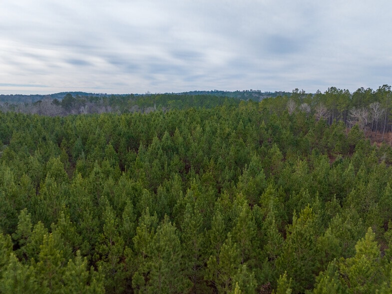 More Photos Of Jug Factory Road, Wetumpka Land For Sale