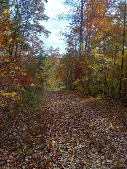 More Photos Of 1737A High Rock Rd, Stanton Land For Sale