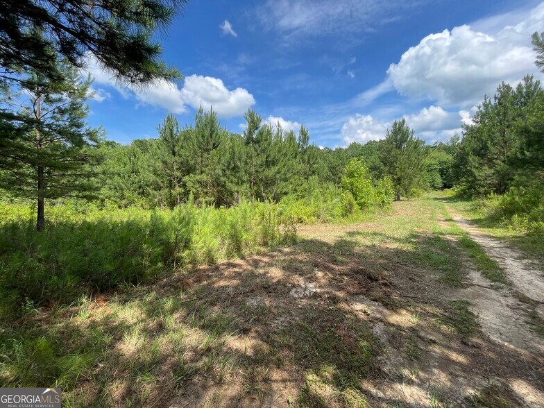 More Photos Of 0 Fallen Branch Circle Southeast, Rome Land For Sale