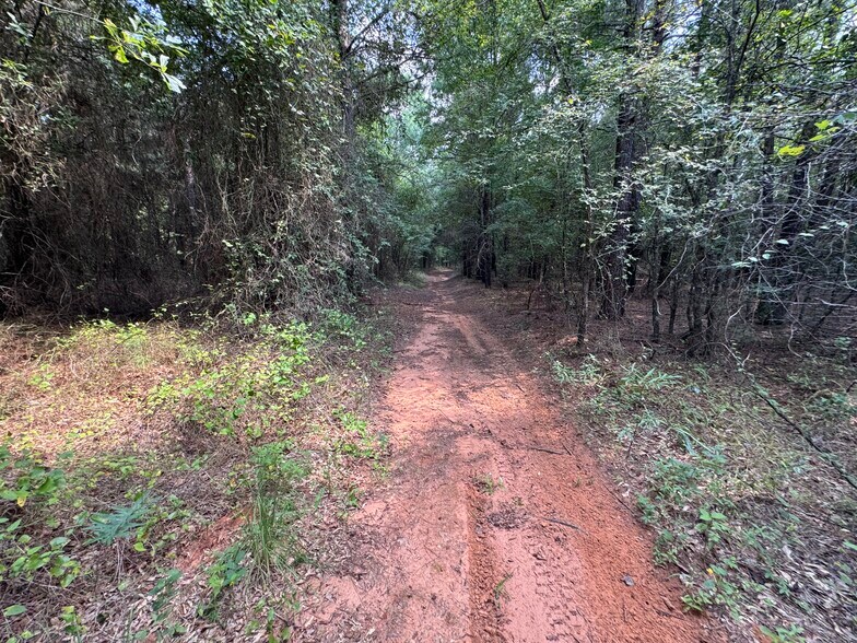 More Photos Of 000 Meadow View Ln, Flint Land For Sale