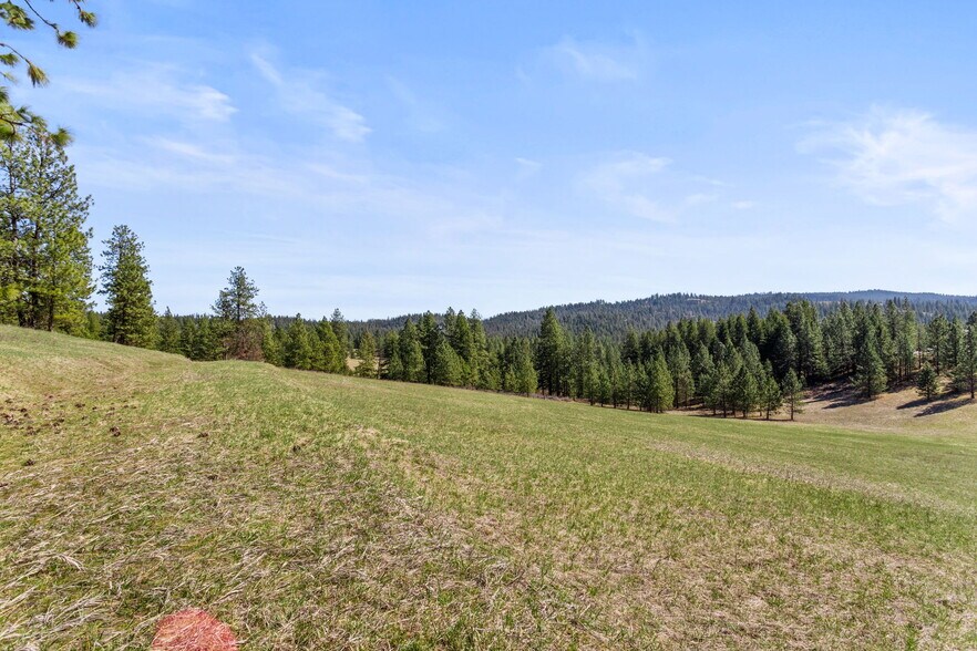 More Photos Of 15809 N Scribner Branch Rd, Spokane Land For Sale