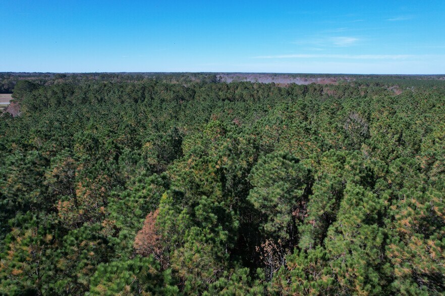 More Photos Of 793 Puncheon Creek Dr, Andrews Land For Sale