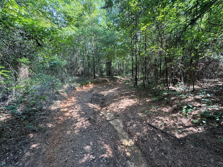 More Photos Of 000 Meadow View Ln, Flint Land For Sale