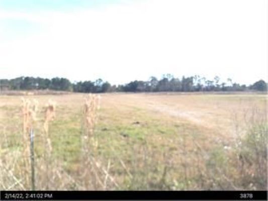 Primary Photo Of 2337 Savannah ave, Valdosta Land For Sale