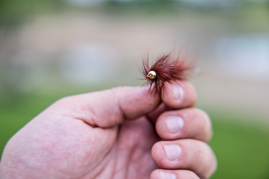 More Photos Of 1583 Spring Bay Rd, Spring Bay Hotel For Sale