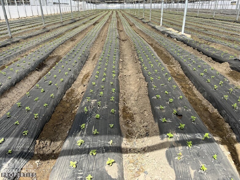 More Photos Of 78100 Harrison St, Thermal Land For Sale