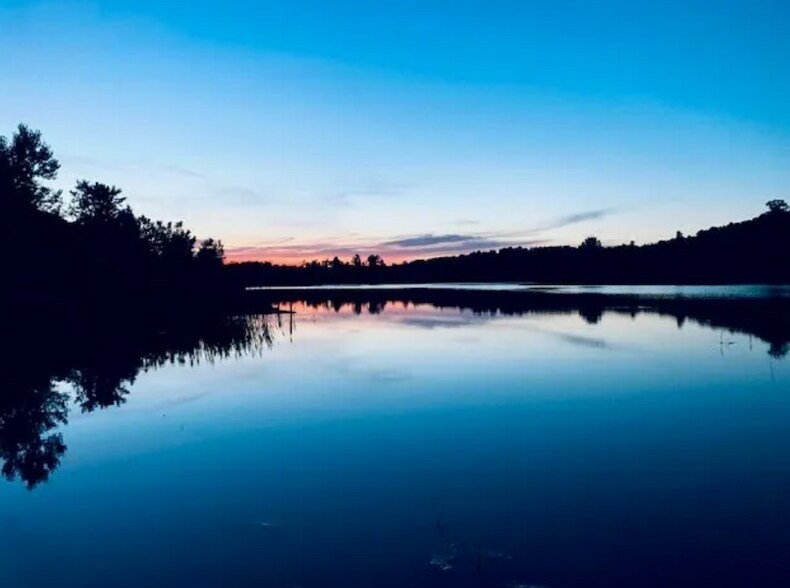 More Photos Of 13781 Buno Rd, Milford Land For Sale