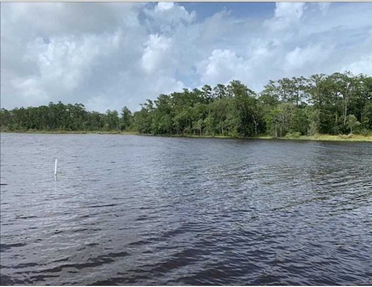 More Photos Of Hwy 331, Freeport Land For Sale