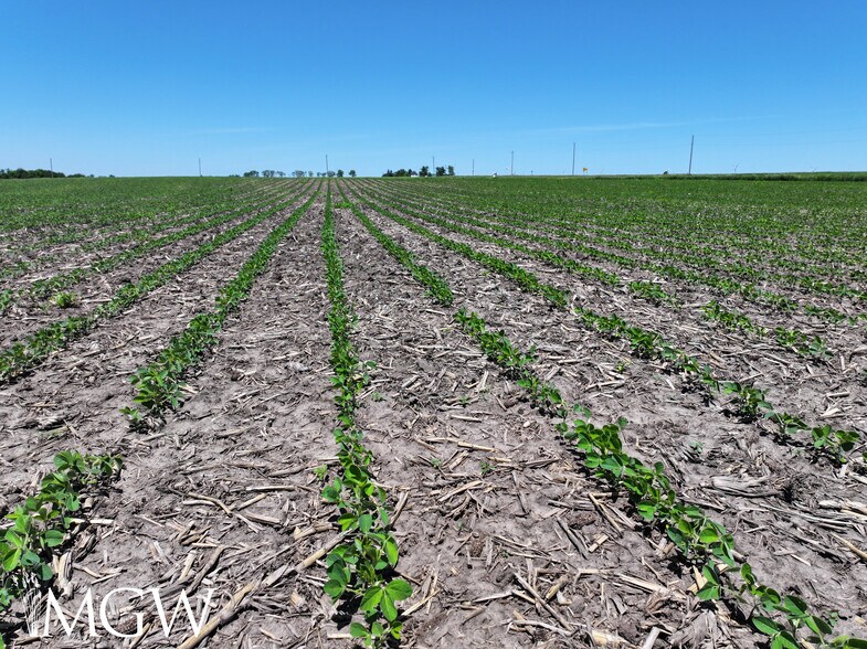 More Photos Of Herman Road, Lee Land For Sale