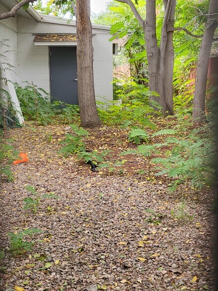 More Photos Of 1921-1923 Wadsworth Blvd, Lakewood Freestanding For Sale