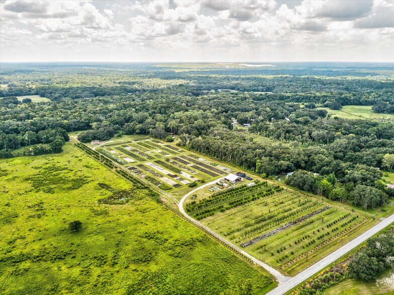 More Photos Of 2816 Crystal Springs Rd, Zephyrhills Winery Vineyard For Sale
