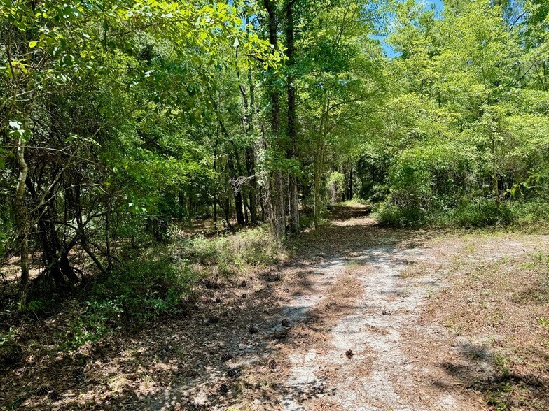 More Photos Of 241 Foskey Cemetery Rd, Adrian Land For Sale