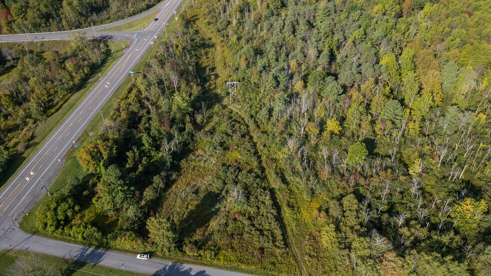 More Photos Of 219 Mudge rd, Delanson Land For Sale