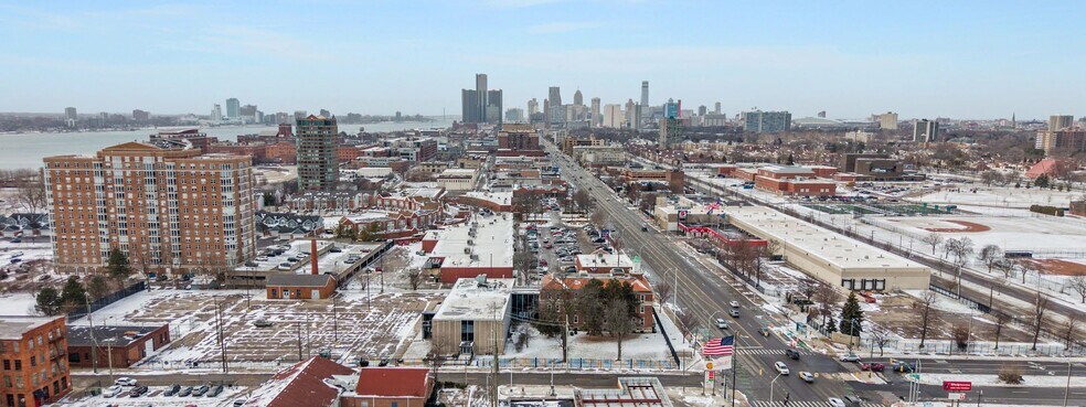 More Photos Of 301 Mount Elliott St, Detroit Office Residential For Sale