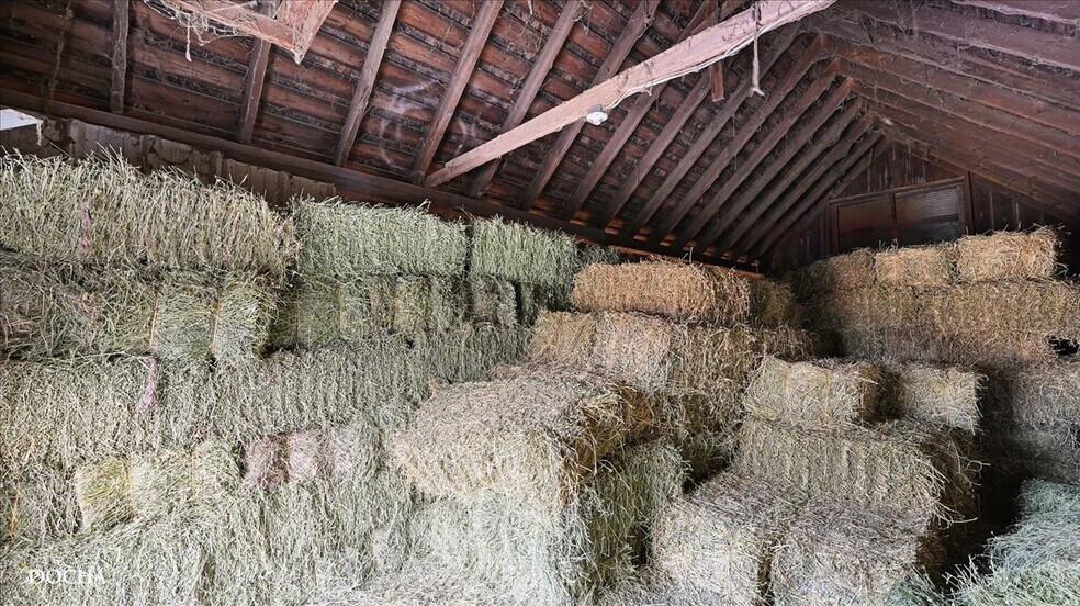 More Photos Of 13230 Chicago Rd, Somonauk Land For Sale